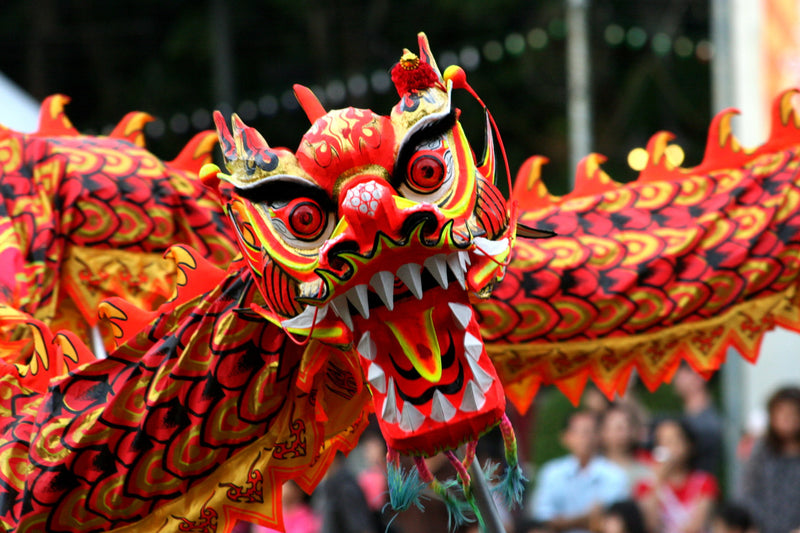January Days Out: Chinese New Year Celebrations